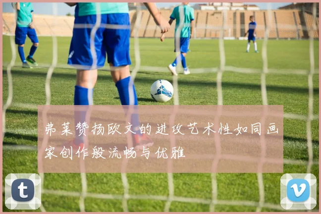 弗莱赞扬欧文的进攻艺术性如同画家创作般流畅与优雅